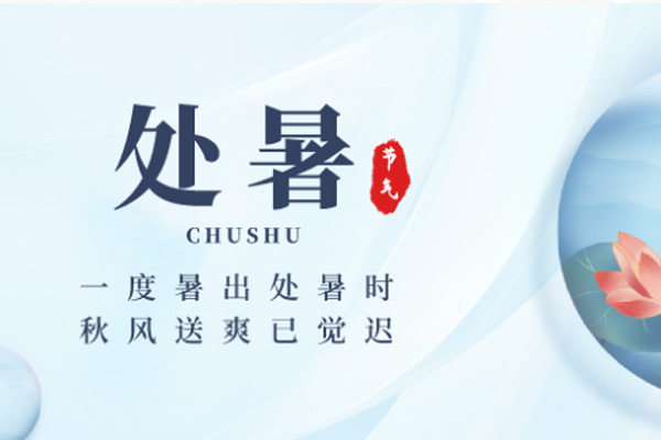 91视频成人APP下载木業 | 暑退秋近,涼意徐徐